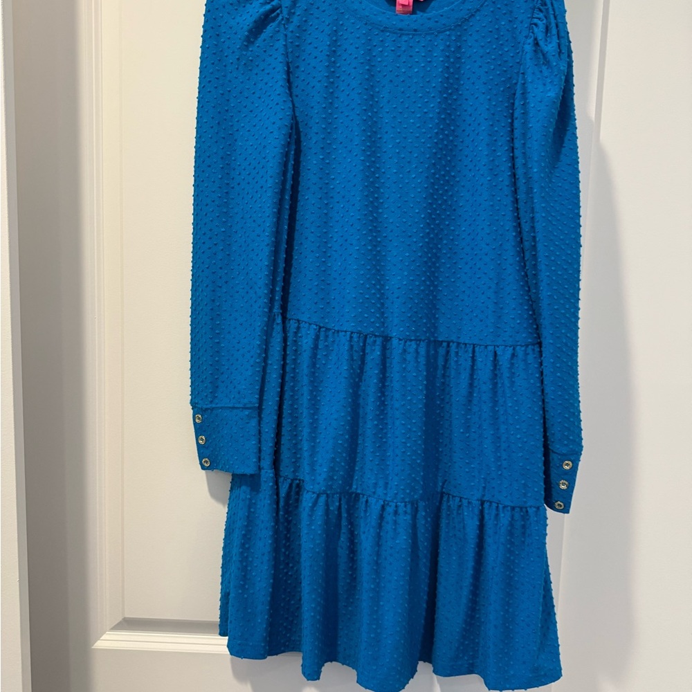 Lilly Pulitzer Vibrant Blue Casual Dress